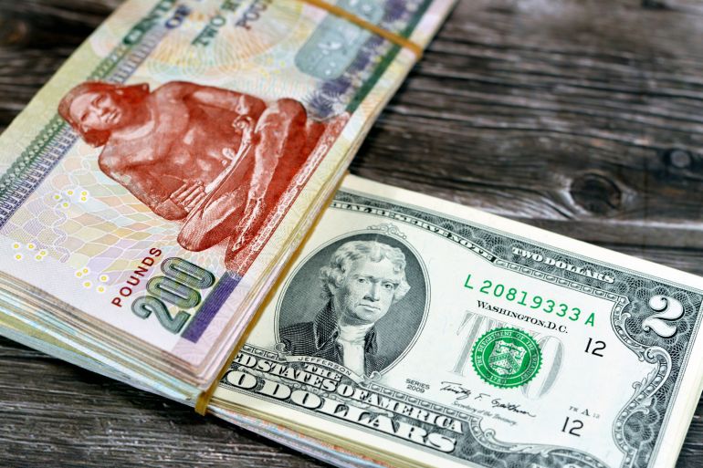 سعر صرف الدولار شبه ثابت في السوق المصري