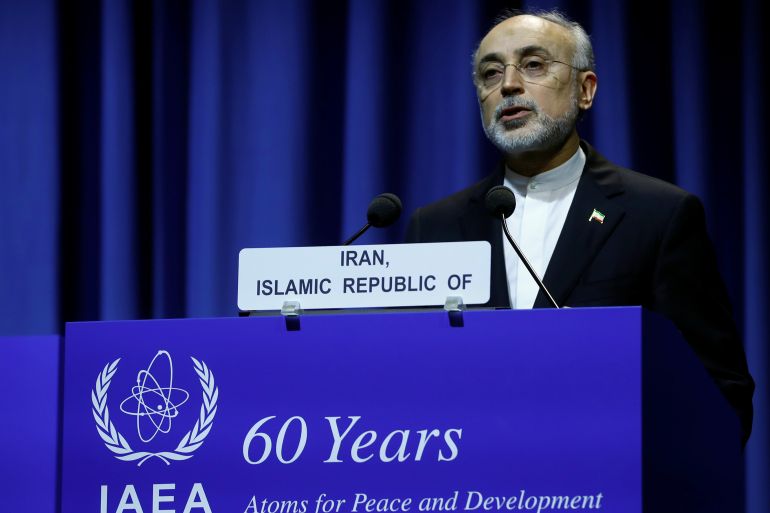 علي أكبر صالحي، رئيس منظمة الطاقة الذرية الإيرانية 