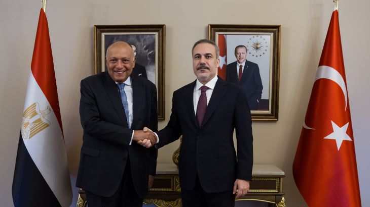 وزير الخارجية التركي هاكان فيدان (يمين) رفقة نظيره المصري سامح شكري (الأناضول)
