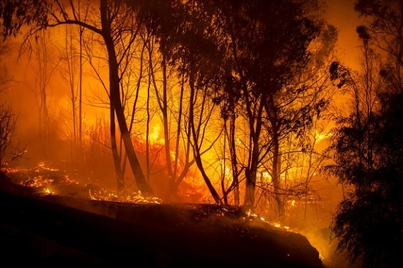 حرائق غابات قبرص اليونانية تعد الأسوأ منذ عقود