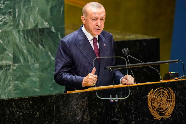 رجب طيب أردوغان تركيا